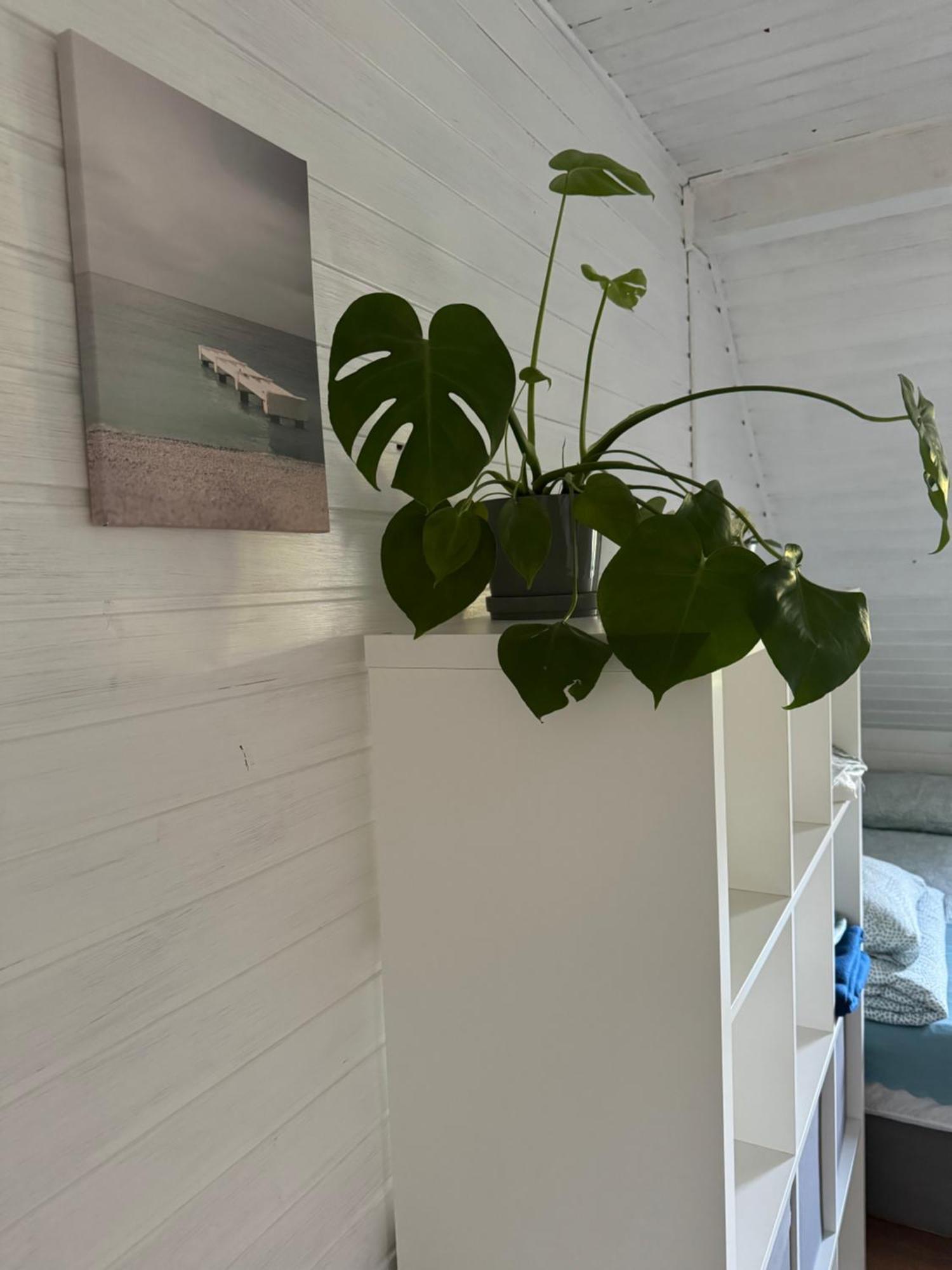 48C Domki Letniskowe I Apartament Pobierowo Exterior foto